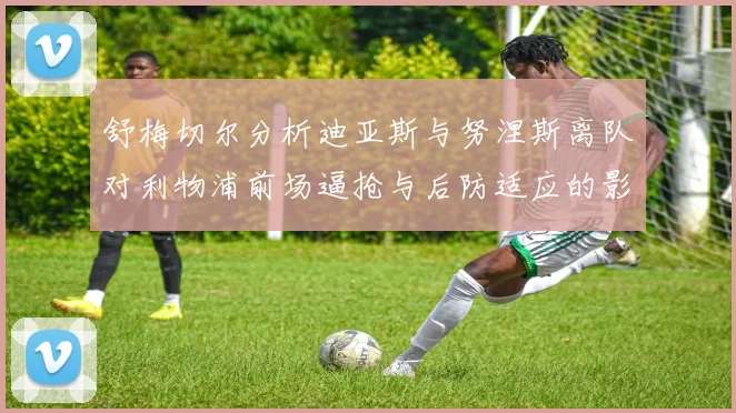 舒梅切尔分析迪亚斯与努涅斯离队对利物浦前场逼抢与后防适应的影响